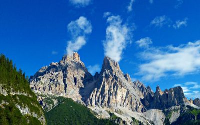 Argazki eta Bideo Lehiaketako Emaitzak