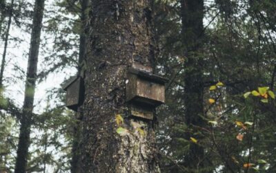 GURE NATURA EZAGUTZEN. 2025