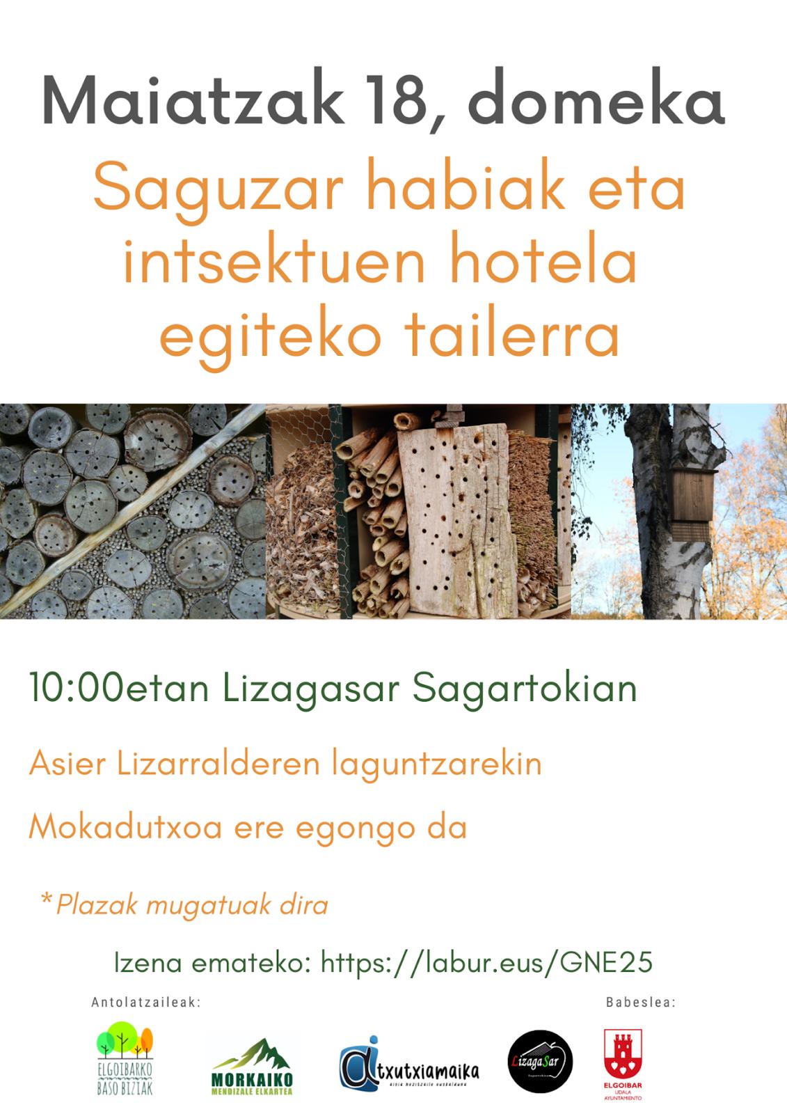 saguzar+intsektu 2025-05-18