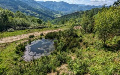 GURE NATURA EZAGUTZEN. 2025
