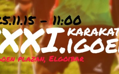 31. KARAKATEKO IGOERA (2025eko azaroaren 15an)