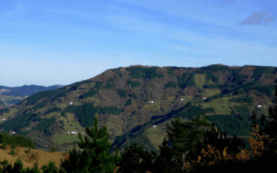 HAUR IRTEERA. Urriak 26.  Elgoibar-Soraluze.