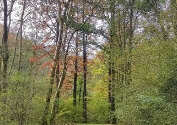 GURE NATURA EZAGUTZEN. 2025 AKOLAN