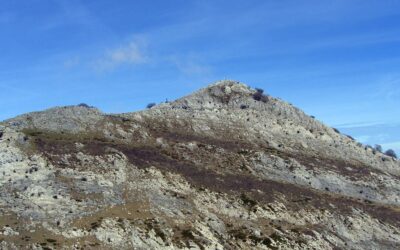 HAUR IRTEERA. Azaroak 9. Erlo.