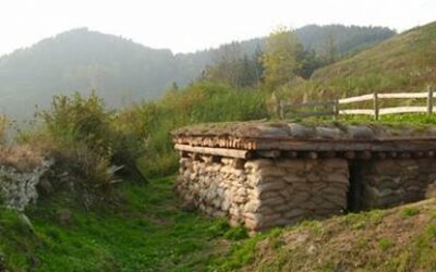 HAUR IRTEERA. Urtarrilak 25.  INTXORTA.