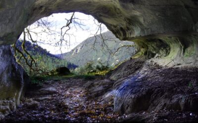 NATUR HAUR IRTEERA. APIRILAK 12. ARBILEKO KOBA